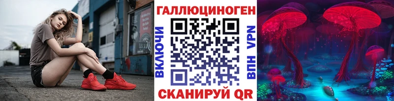 сколько стоит Зубцов Псилоцибиновые грибы прущие грибы